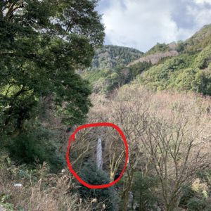 中伊豆「浄蓮の滝」の眺め