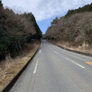 伊豆スカイラインの視界が開けない林間エリア②