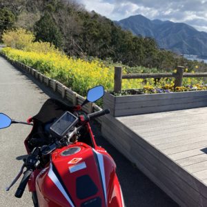西伊豆「恋人岬」モニュメント横の春先どりの風景with CBR650R