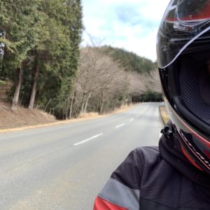 伊豆スカイラインの林間部エリアにて