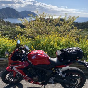 西伊豆「恋人岬」モニュメント横の春先どりの風景with CBR650R②