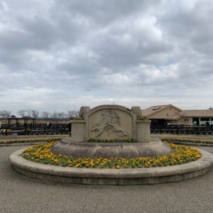 三浦半島・長井海の手公園内の中央の花壇にて