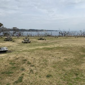 城ヶ島公園芝生エリア