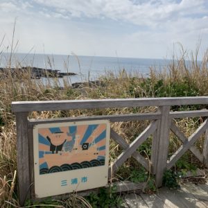 城ヶ島灯台からの相模湾風景