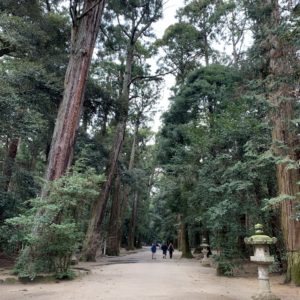 鹿島神宮・奥参道へ②