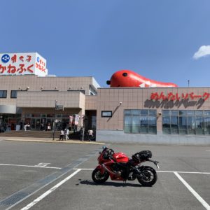 めんたいパーク大洗の「タラピヨ」とCBR650R記念pic