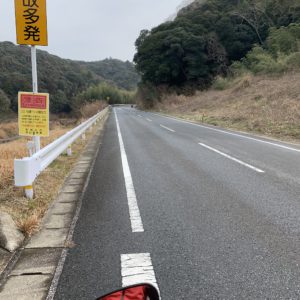 安房グリーンラインのワインディング風景