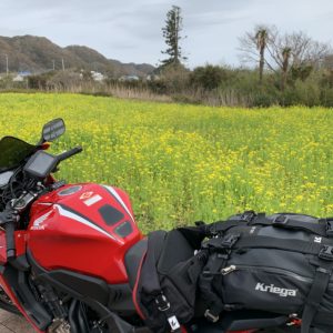 房総フラワーライン脇の菜の花畑にてwith CBR650R①