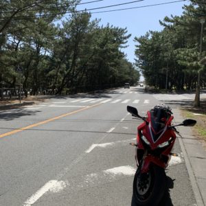 大洗海岸通りの松林にてwith CBR650R