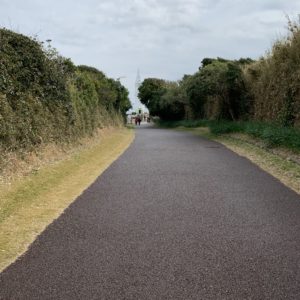 城ヶ島公園安房埼灯台へ向かう小道にて