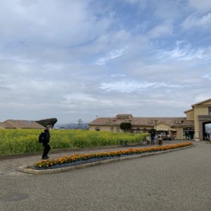 三浦半島・長井海の手公園内のメイン通りにて