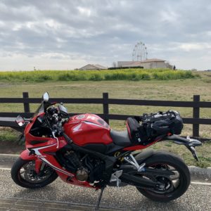 三浦半島・長井海の手公園の菜の花畑にてwith CBR650R