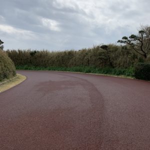 城ヶ島公園のきれいに手入れされた園内風景②