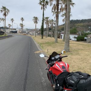 鴨川漁港先の椰子の木が並ぶエリアにてwith CBR650R