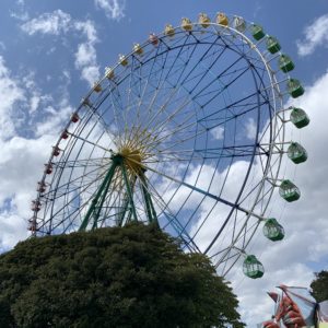 ひたち海浜公園・観覧車を見上げる