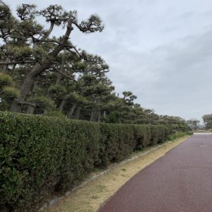 城ヶ島公園のきれいに手入れされた園内風景③