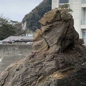 鴨川のゴリラ岩とご対面