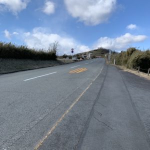 芦ノ湖スカイラインのロードサイドにて