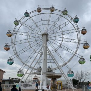 長井海の手公園・観覧車を眺める