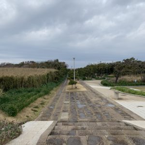 城ヶ島公園のきれいに手入れされた園内風景
