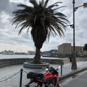 三浦半島・久里浜海岸椰子の木前にてwith CBR650R
