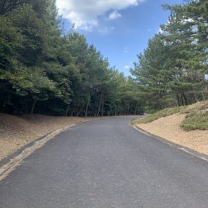 ひたち海浜公園の閑散な通りにて