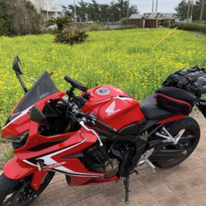 房総フラワーライン脇の菜の花畑にてwith CBR650R②
