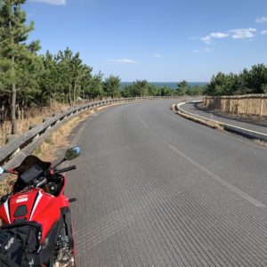 ひたち海浜公園・海浜口からr6に向かうロードにてwith CBR650R