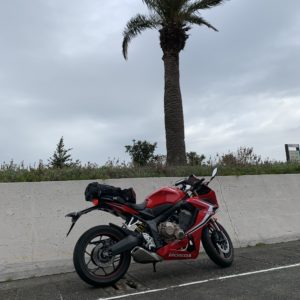 よこすか海岸通りのさらに海際にあった椰子の木とCBR650R