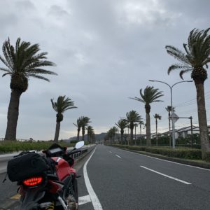 よこすか海岸通りの絶景椰子の木ロードwith CBR650R