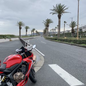 よこすか海岸通り・椰子の木ロードにてwith CBR650R