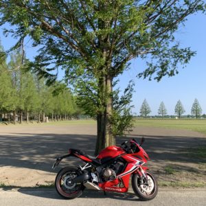 12か月点検の後に立ち寄った埼玉のメタセコイア並木にてwith CBR650R