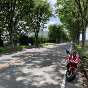 米軍所沢通信基地の東側の並木道にてwith CBR650R