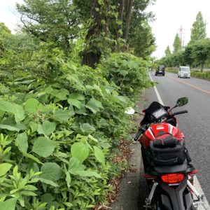 朝霞中央公園から和光樹林公園へ続く並木道with CBR650R③