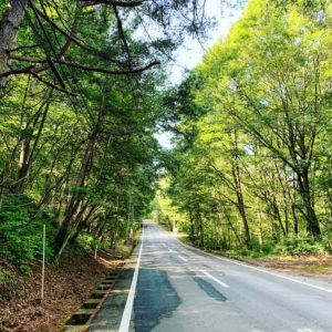 蓼科スカイライン大河原峠にてwith CBR650R②