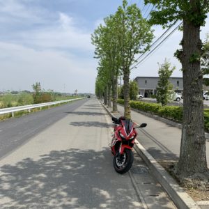 川島町役場沿いの並木にてwith CBR650R