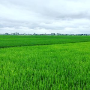 びん沼川と周辺エリアにてwith CBR650R③