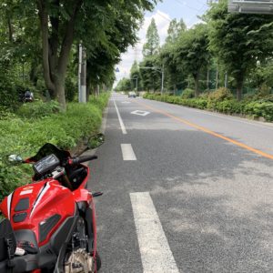 朝霞中央公園から和光樹林公園へ続く並木道with CBR650R