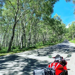 ビーナスライン北・r464の白樺ロードにてwith CBR650R②