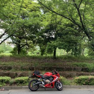 和光樹林公園の桜並木にてwith CBR650R③
