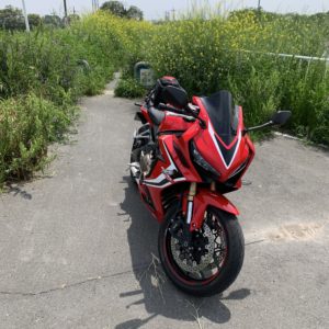 市野川大橋手前の菜の花に埋もれたサイクリングコースにてwith CBR650R