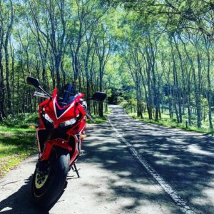 ビーナスライン北・r464の白樺ロードにてwith CBR650R