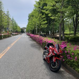 5月の新緑とつつじの花が眩しい公園通りwith CBR650R