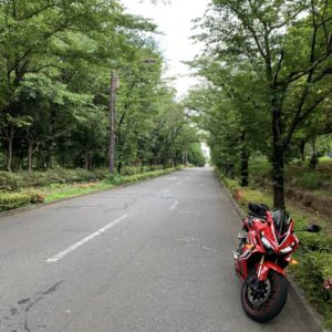 和光樹林公園の桜並木にてwith CBR650R④