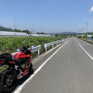 のびやかに続くフルーツ街道＠秩父with CBR650R④