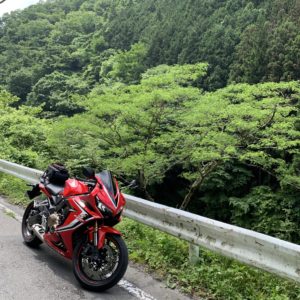 秩父さくら湖の奥の緑あふれるエリアにてwith CBR650R③