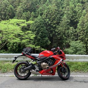 秩父さくら湖の奥の緑あふれるエリアにてwith CBR650R②