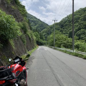 秩父さくら湖の奥の緑あふれるエリアにてwith CBR650R