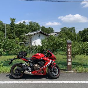のびやかに続くフルーツ街道＠秩父with CBR650R③