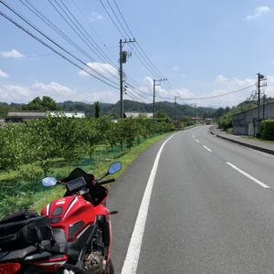 のびやかに続くフルーツ街道＠秩父with CBR650R
